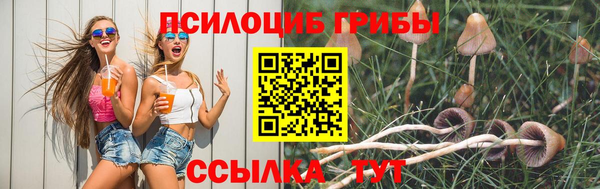 купить наркоту  Вход с VPN  Галлюциногенные грибы ЛСД  Белгород  Псилоцибиновые грибы прущие грибы 
